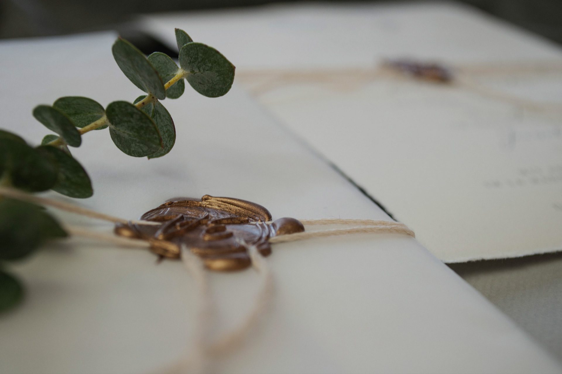 Hochzeitskarten Wax Eukalyptus